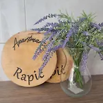 Rapic Daire Vir