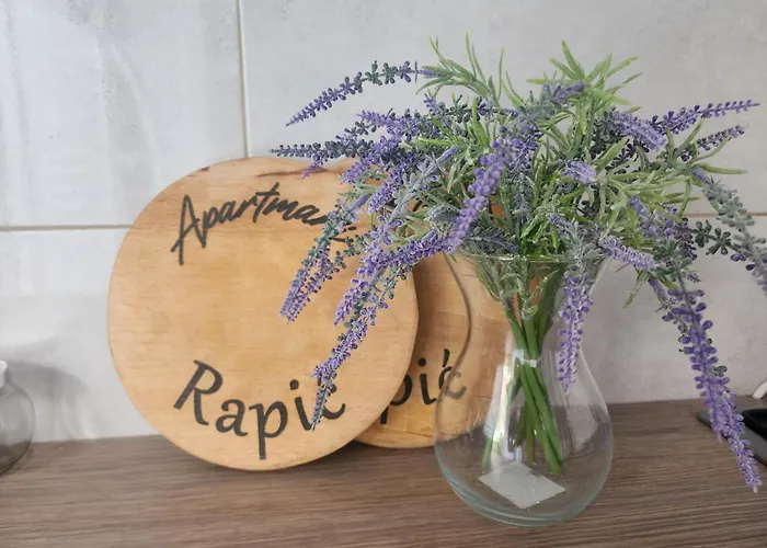 Rapic Apartamento Vir